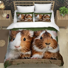 Guinea Pig Bed Linen 135 x 200 cm 3D Print Guinea Pig Duvet Cover Set for Boys Girls Teens Children's Bed Linen Microfibre Soft Luxury Bedding Room Decor 3-Piece + 2 Pillowcases 80 x 80 cm