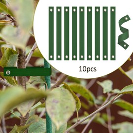 Folpus 10Pcs Tree Straps for Staking Storm Protection, Nylon, Windproof Easy to Install Tree Stake Straps Newly Planted Saplings