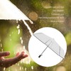 Compact Umbrella Black Transparent Automatic Design Sturdy Structure Travel Umbrella