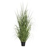 Vickerman TN170148 Everyday Grass Plant