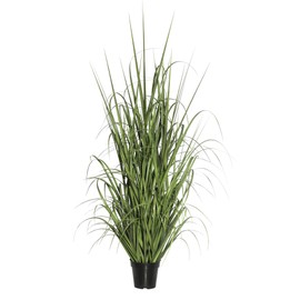 Vickerman TN170148 Everyday Grass Plant