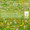 LYCKLIGA - Dandelion Root Tea, Dandelion Leaf and Root Tea