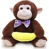 Toyland® 30 cm Peekaboo Monkey Plush Toy Animated Singing Toy