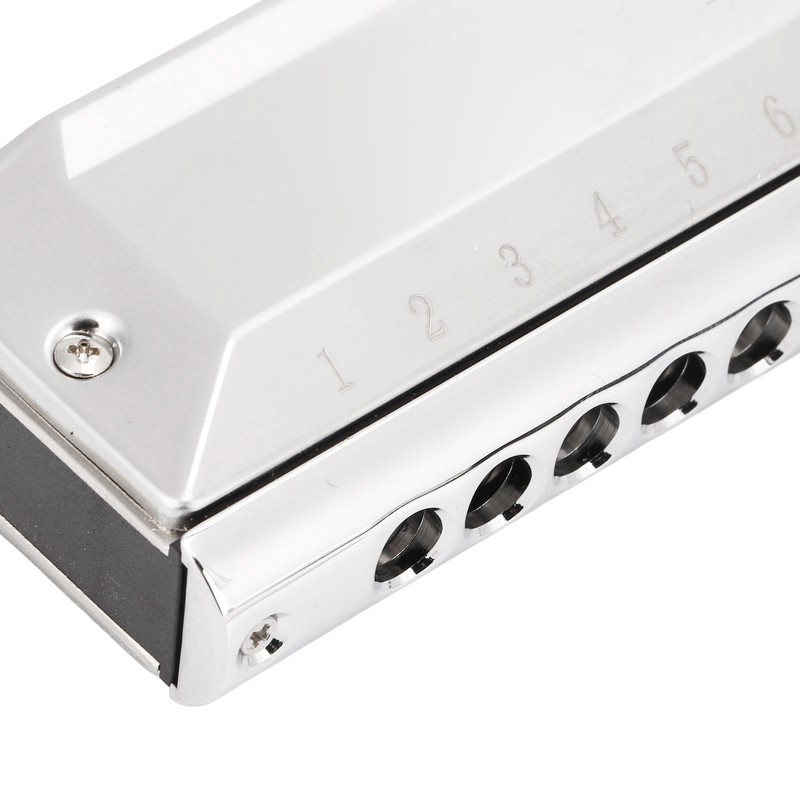 Chromatic Harmonica Metal 12 Holes 48 Tones Mouth Organ Harmonicas