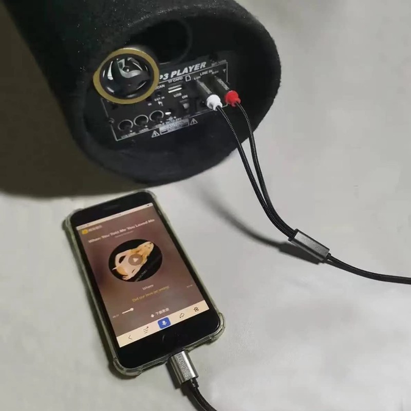 DUOYUTING RCA Audio Cable, iOS Phone to 2 Male RCA