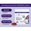 KOYAH Organic Berry Blend Capsules – 600 mg (Concentrated 7.1x