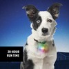 Nite Ize SpotLit LED Collar Light, Color-changing Dog Collar Light