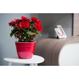 Santino ASTI 27 cm Self-Watering Flower Pot with Water Level Indicator for Plants, Flowers, Herbs (Diameter 27 cm, Height 21 cm, 9 Litres, Anthracite/White)