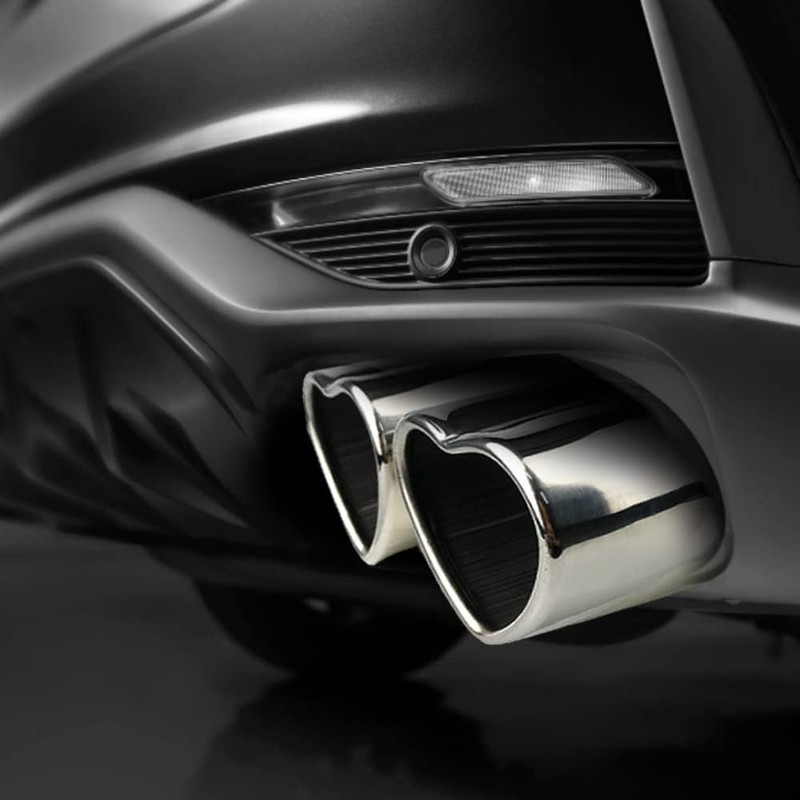 OtpOutopa Dual Exhaust Tip 2.5 inch Inlet, Universal Car Exhaust