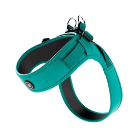 BullyBillows Boomerang Harness | Non-Restrictive Lightweight Dog Harness | Simple To Take Slip On & Off | Premium Quality Dog Harness With Hook and Loop Strap | Teal XSmall