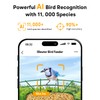 Metal Smart Bird Feeder with Camera – Solar Powered, AI