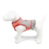 Martha Stewart Tweed Adjustable Fit Comfort Dress Harness for Dogs,