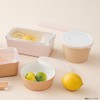 Takenaka T-36406 Chiaro Delicap Lunch Box, Made in Japan, Brown