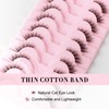 Glowing Win Half Eyelashes, Natural Artificial Eyelashes, 10 Pairs, Cat