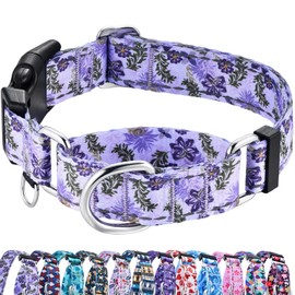 Fidohug Reflective Martingale Collar for Dogs with Quick Release Buckle Cute Girl Female Flower Dog Collars (Lavender Floral, Medium)