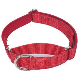 SGODA Martingale Dog Collar, Reflective Nylon Padded Dog Training Collars for Small Dogs, Red S