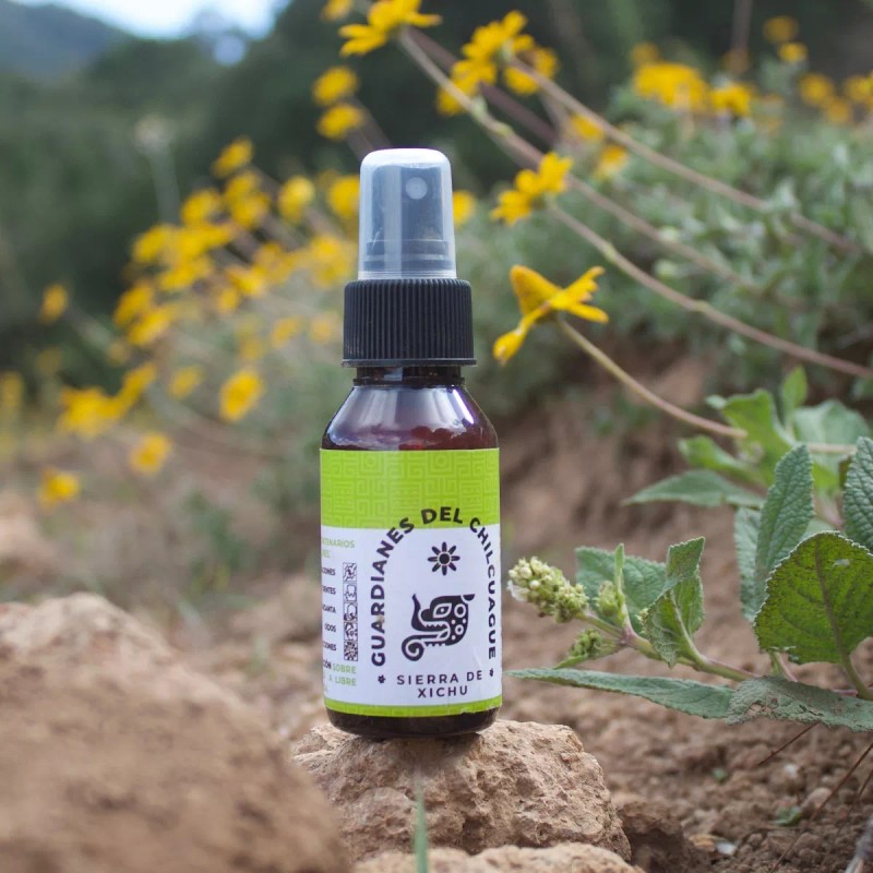 Guardianes del Chilcuague Heliopsis Extracto De Chilcuague 5 Unidades