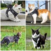 AMIR Cat Harness and Leash for Walking, Breathable Cat Leash