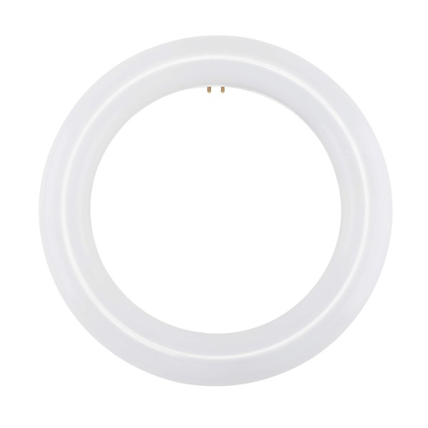 Satco S16502 Double Pin Light Bulb in White Finish, Frosted