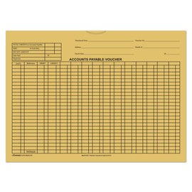 Accounts Payable Voucher Envelopes (Form #DSA-540) (Several Colors) (100 per Pack) (Buff)