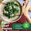 DISPOSABLE GREEN – Round Disposable Plates, Areca Leaf Serving Plates,