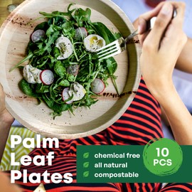 DISPOSABLE GREEN – Round Disposable Plates, Areca Leaf Serving Plates, Dinner Plates for Parties, Weddings, Catering, & More, Disposable Plates for Hot Food & Cold Food, 27 x 2.5cm, 10-Pcs