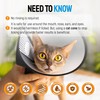 Cat Wound Care Spray with Silver – Wounds, Rashes, Hot