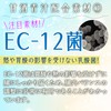金花堂 【甘酒青汁】 乳酸菌 × 青汁 酒粕 大麦若葉 桑の葉 長命草 大豆プロテイン