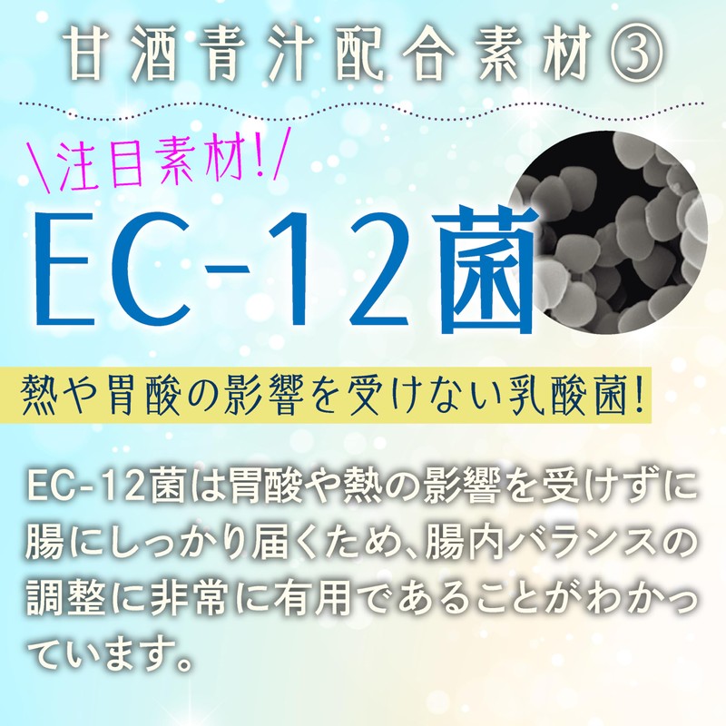 金花堂 【甘酒青汁】 乳酸菌 × 青汁 酒粕 大麦若葉 桑の葉 長命草 大豆プロテイン
