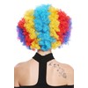 WIG ME UP - PW0011 Afro Wig Afro 70s Rainbow