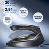 BEAUTURAL Mini Travel Iron for Clothes with Dual Voltage, 1000
