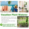 REMIAWY Plant Watering Devices 6 Pack Terracotta Vacation Plant Waterer