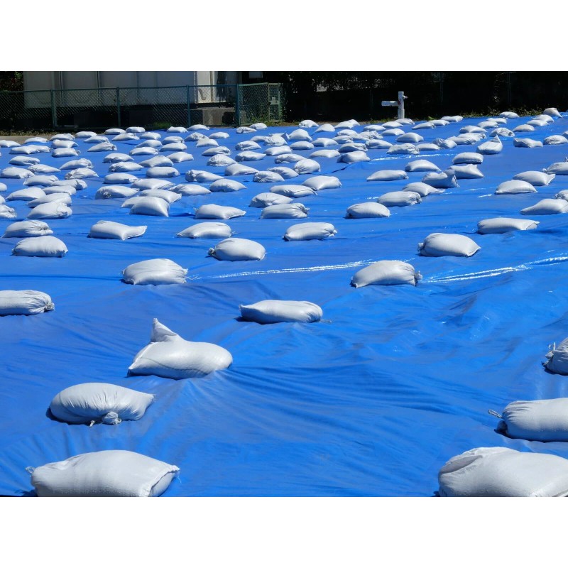 HALSTED 15in. x 27in. Heavy Duty White Woven Sand Bags