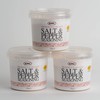 KMC Salt & Pepper Seasoning Mix - 3 Pack of