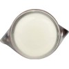 Burt's Bees Lip Shine - # 016 Spontaneity