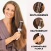 Lily England Round Hair Brush Set, 4 Pieces Professional Blow