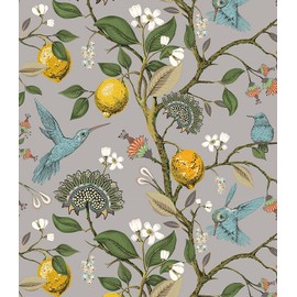 Blooming Wall Blue Bird Fresh Lemon Tree Peel and Stick Wallpaper Removable Self Adhesive Wall Mural Wall Decor, 14.5 Square Ft/Roll (17.7“x118”, Gray Background)