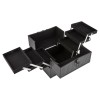Unbranded Large Train Case Cosmetics Organizer with 6 Trays for