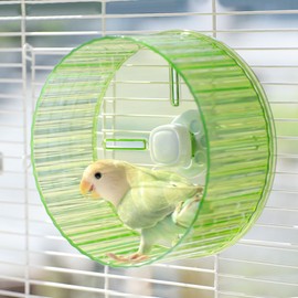 6.8-inch Parrot Silent Running Wheel, Parrot Exercise Wheel, Birds, Parrots, Turtles, Hamsters, Small Animal Quiet Running Wheel (Green)