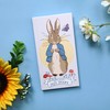 Peter Rabbit 2025 Slim Weekly View Diary