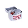 Vintage and Funny Human Organ Lunch Box,the Safest Box for