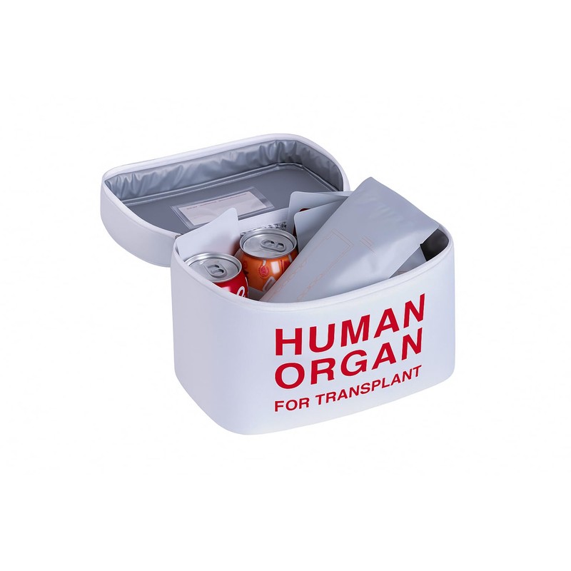 Vintage and Funny Human Organ Lunch Box,the Safest Box for