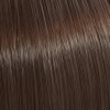 Color Touch Deep Browns 6/73 Dark Blonde Brown-Gold 60 ml