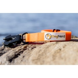 DogNerd 6FT Silicone Dog Leash Heavy Duty - No Pull Tactical Dog Leash with Quick Release/Locking Carabiner for Medium & Large Breed Dogs - Waterproof Durable Strong Dog Training Leash (6 FT, Orange)