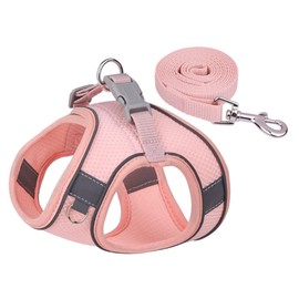 grooblue Dog Harness Lead Set for Small Dogs, Medium Dogs and Cats, Breathable Mesh, Lightweight, Easy to Put on and Take Off, Pull Prevention, Reflective, Adjustable, Cute, Fashionable (Pink, S)