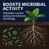 Microbiome Boost Soil Amendment – Natural Microbial Catalyst for Root