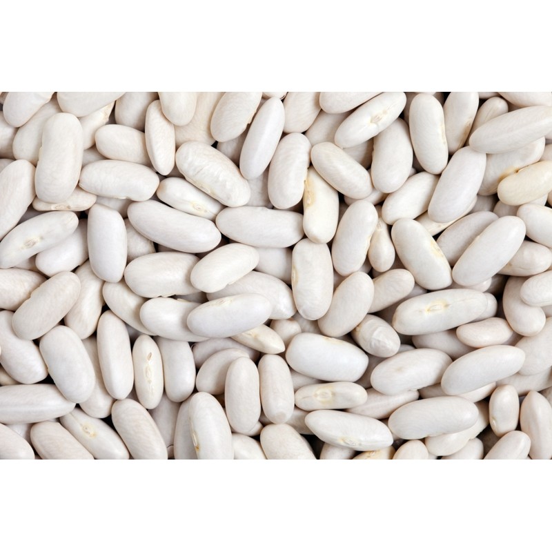 Hunza Organic Great Northern Beans (2 lbs)