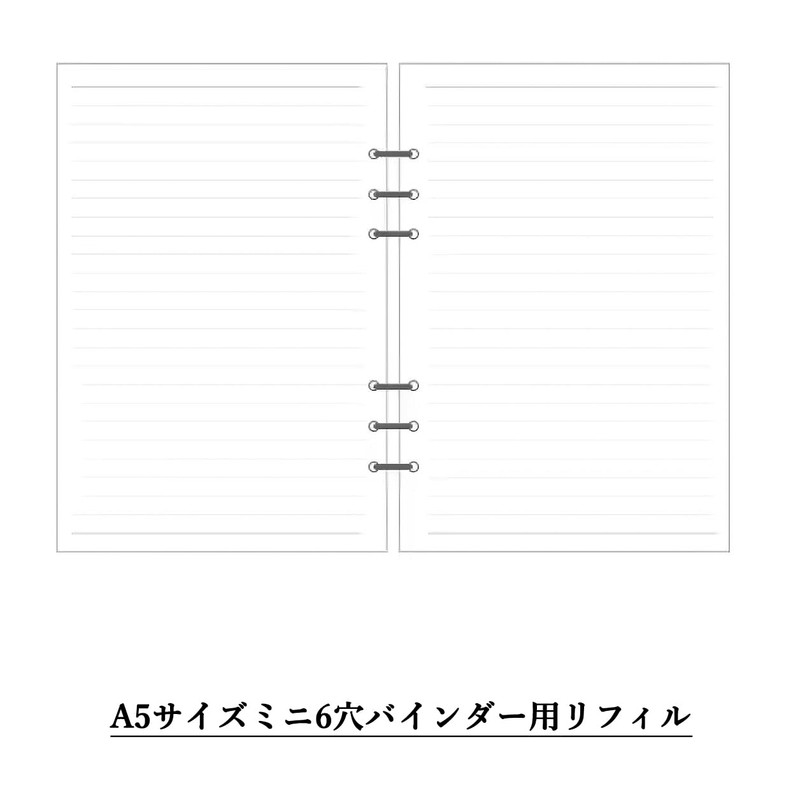 Audiofan Personal Organizer Refill, A5 Size, 6 Holes, Horizontal Ruled,