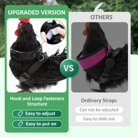 Adhafera Chicken Harness with Leash, Upgraded Double Adjustment Chicken Harness and Leash Set for Hens, Duck, Goose, Small Pet (Black, S)
