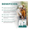 BIO B ǀ Probióticos con 100 Billones UFC + Prebióticos